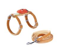 VERDANVERSE Cat Adjustable Escape Proof Harness Leash Set, Orange Small Mesh Kitten Harness for Secure Walking and Pet Control