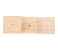 VERDANVERSE Creative Wooden Specimen Display Stand with Needle Hole for Pinning, for Graduation Party and Personal Experimental Use, Collection Supplies for Friends and Families Who Love