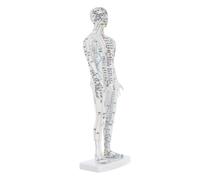 VERDANVERSE Human Acupoint Model Male Full Body Chinese Meridian Pressure Point Display Teaching Tool for Students and Professionals Accurate Acupuncture and Meridians Visualization