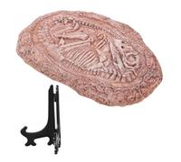 VERDANVERSE Imitation Dinosaur Specimen Model Vintage Decorative Ornament for Reptile Tanks Realistic Faux Display for Home and Collectors Lightweight and Portable Design