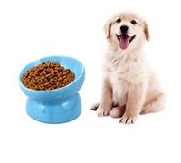 VERDANVERSE Light Blue Ceramic Pet Feeding Bowl High Feet Slanted Mouth Feeder for Dogs Puppies Durable Lightweight Design for Healthy Eating