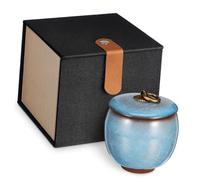 VERDANVERSE Small PET Urn for Ashes Ice Crack Glaze Light Blue 70ml Ceramic Keepsake Memorial for Dogs Cats Easy to Maintain Versatile Use for PET Ashes Mementos Random Color