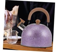 VERDANVERSE Stainless Steel Whistling Kettle for Gas and Induction Stove Large Spout Convenient Hot Water Boiler Flat Bottom Pot for Tea and Preparation in Restaurant and Home Use
