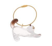 VERDANVERSE Transparent Cat Hair Storage Keychain Cute Pet Memorial Capsule for Kitten Dog Puppy Hair Keepsake Souvenir Container with Clear Viewing Window and Chic Handmade Design