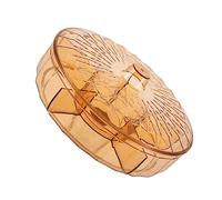VERDANVERSE Transparent Thickened Divided Snack Case with Lid Color Dry Fruit Box Compartment Tray for Kitchen Dining Picnic Party Lightweight Portable Storage Organizer for Candy Nuts and