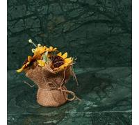 Verde Guatemala Polished Marble (Green, Sample (100x100))