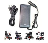 [Verified Fit] 24 Volt 3 Amp Quick Charger 3-Pin for Pride Go Go Elite Traveler, for Drive Medical, Ezip, Jazzy Power Chair, Shoprider, GT, Rascal, Schwinn, Vive, Mongoose M250 M300 M350 M500 24V 3A