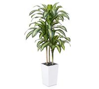 VeriNatural Artificial Dracaena Tree 150 cm - UV-Resistant Realistic Faux Large Green Plastic Fake Plant with White Taper Planter - Tall Artificial Plants for Home Garden Office Indoor Decor, VN127