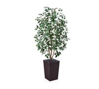 VeriNatural Artificial Ficus Tree 150 cm - Lifelike Fake Plant with Real Wooden Trunk, Green Silk Leaves - UV Resistant Faux Tree with Brown Taper Planter for Home Indoor and Outdoor Decoration, VN129