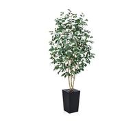 VeriNatural Artificial Ficus Tree 180 cm - Lifelike Fake Plant with Real Wooden Trunk, Green Silk Leaves - UV Resistant Faux Tree with Black Taper Planter for Home Indoor and Outdoor Decoration, VN129
