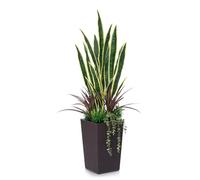 VeriNatural Artificial Monstera Plant 120cm Large Faux Indoor Fake Tree - Decorative Greenery with UV Resistant Leaves & Brown Woven Pot - Tall Artificial Plants for Outdoor Home Décor Office, VN150