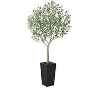 VeriNatural Artificial Olive Tree 210 cm - Large Artificial Plants Indoor with Fruits & Silk Leaves, UV Resistant - Fake Plants with Black Taper Planter for Living Room Office Balcony Outdoor, VN156