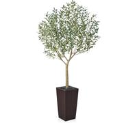 VeriNatural Artificial Olive Tree 210 cm - Large Artificial Plants Indoor with Fruits & Silk Leaves, UV Resistant - Fake Plants with Brown Taper Planter for Living Room Office Balcony Outdoor, VN156