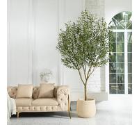 VeriNatural Artificial Olive Tree 240cm Large Tall Fake Plant - Faux Tree with 180 Fruits & 4028 Leaves for Home Office Indoor Outdoor Decor - Decorative Plastic Plants for Living Room Bedroom, VN157
