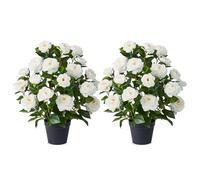 VeriNatural Artificial White Camellia Tree 60cm - Realistic Faux Plant with 28 Silk Flowers, 175 Green Leaves - Plastic Potted Artificial Tree Decor for Home Office Living Room Indoor Garden, Set of 2