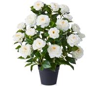VeriNatural Artificial White Camellia Tree 60cm - Realistic Faux Plant with 28 Silk Flowers, 175 Green Leaves - Plastic Potted Artificial Tree Decor for Home Office Living Room Indoor Garden