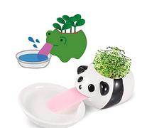 VERLIAN Mini Self Watering Succulent Pots, 1 Pack Animal Ceramic Plant Pot Container with Tongue & Drain Hole, Creative Small Cactus Flower Pot（Panda）