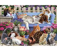 Vermont Christmas Company A Cat's Life Jigsaw Puzzle 1000 Piece