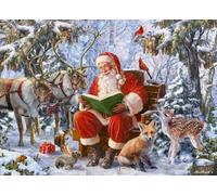 Vermont Christmas Company Box of Santa's Forest Christmas Cards - 15 Cards & 16 Foil Lined Envelopes - Packed in Attractive Red Box - Cards measure 4 1/2" x 6 1/4" Folded
