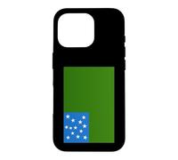 Vermont Republic Green Mountain Boys Flag Case for iPhone 16 Pro