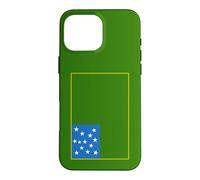 Vermont Republic Green Mountain Boys Flag Case for iPhone 16 Pro Max