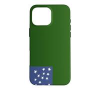 Vermont Republic Green Mountain Boys Flag Case for iPhone 16 Pro Max