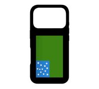 Vermont Republic Green Mountain Boys Flag Case for iPhone 17 Pro