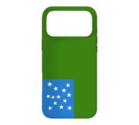 Vermont Republic Green Mountain Boys Flag Case for iPhone 17 Pro Max