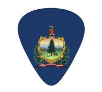 Vermont State Flag print Celluloid Guitar Plectrums for Acoustic Guitar Bass,Guitar Picks with Organizer Box