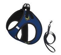 Vermont State Flag Print Small Dog Harness with Leash Set, No Escape Easy Walk Puppy Harnesses for Training Walking