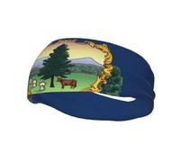 Vermont State Flag Print Sports Sweatband Stretchy Breathable And Moisture Wicking Headband For Running