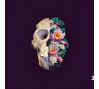 Verneri Pohjola - Monkey Mind