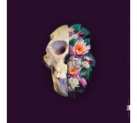 Verneri Pohjola : Monkey Mind VINYL 12" Album (2023) NEW Amazing Value