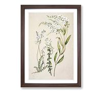 Veronica Flowers by Sarah Featon Framed Print | A2 Walnut Framed Wall Art | Ready to Hang | Modern Floral Picture | Living Room Bedroom Lounge Office