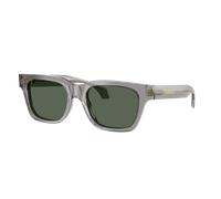 Versace Man Sunglass VE4486 - Frame color: Transparent Grey, Lens color: Dark Green