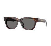 Versace Man VE4486 550981 Sunglasses Acetate Turtle Grey Squared Polarized