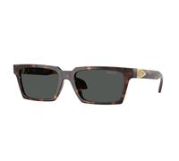 Versace VE4490U 108/87 Man Sunglasses Injected Turtle Grey Squared Normal