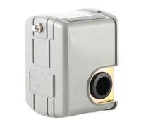 Versatile 1/4 Inch 2 Port External Thread Pressure Modifier Works with Multiple Liquid Arrangement Varieties Easy Installation of the Water Pumps