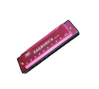 Versatile 10 Hole Metal Harmonica Easy Cleaning Suitable for Easy Learning and Playing in Any Musical Styles Professional Tuned