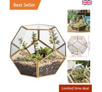 Versatile Handmade Glass Terrarium 17.5x17.5cm - Showcase Your Favorite Plants