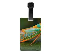 Versatile Luggage Tag PVC Light Durable Exquisite Green Insects Print for Quickly Find Your Luggage