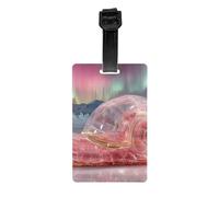 Versatile Luggage Tag PVC Light Durable Exquisite Snail Under The Aurora Print for Quickly Find Your Luggage