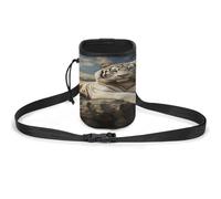 Versatile Pet Training Package, Majestic Tiger Resting on A Rock with Cloudy Print Lightweight Dog Training Pouch Portable Pet Accessories Ideal for Dog Walking