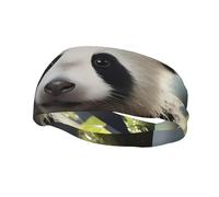 Versatile Sports Sweatband BROLEO Panda cubs in the forest Picture - Stretchable and Moisture-Wicking Headband for Yoga,Fitness