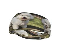 Versatile Sports Sweatband XBKGOHA Bichon Frise Dog Printed - Stretchable and Moisture-Wicking Headband for Yoga, Fitness