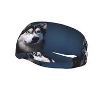 Versatile Sports Sweatband XBKGOHA Husky Dog Printed - Stretchable and Moisture-Wicking Headband for Yoga, Fitness