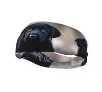 Versatile Sports Sweatband YYHWHJDE Black Labrador Puppy Pattern - Stretchable and Moisture-Wicking Headband for Yoga,Fitness
