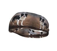 Versatile Sports Sweatband YYHWHJDE Border Collie Prints - Stretchable and Moisture-Wicking Headband for Yoga,Fitness