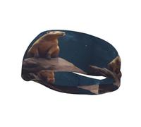 Versatile Sports Sweatband YYHWHJDE Capybara Reaching Stars Prints - Stretchable and Moisture-Wicking Headband for Yoga,Fitness