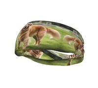 Versatile Sports Sweatband YYHWHJDE cute golden retriever Pattern - Stretchable and Moisture-Wicking Headband for Yoga,Fitness